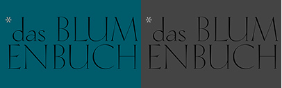 Rudolf Antiqua designed by Claudio Rocha and Lucas Franco is available at CAST Studies.