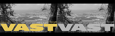 Paratype released Vast.