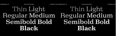 Serebryakov released Taler designed by Denis Serebryakov. It supports Latin and Cyrillic.
