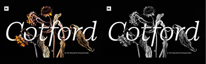 Monotype released Cotford.