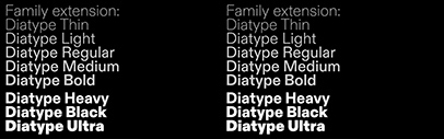 Dinamo added three new weights to Diatype.