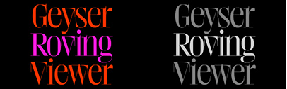 Weird Serif designed by Alex Slobzheninov was added to Future Fonts.