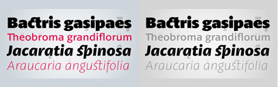 Pétala Pro‚ a new family including 18 styles – from Thin to Black – by Marconi Lima. 30% off till Oct 18.