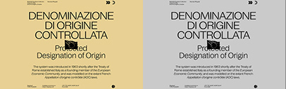 Displaay Type Foundry released Bagoss.