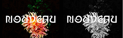 Poem released Nouveau designed by Jérôme Knebusch and Philippe Tytgat. It comes in six styles (Crocus‚ Dahlia‚ Gingko‚ Nenuphar‚ Rose‚ Thistle)‚ and each of them has five weights.