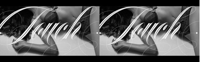 Erotica&sbquo; a high-contrast script face and a TDC2 2013 winner&sbquo; by Lián Types.