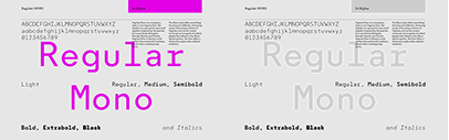 A2-Type released Regular MONO.