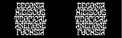 Monstera by Pauline Fourest was added to Future Fonts.