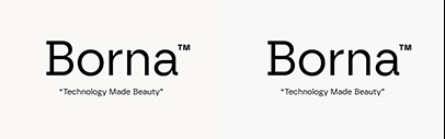 Atipo Foundry released Borna.