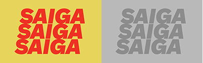 Saiga has crossed the finish line and graduated from Future Fonts.