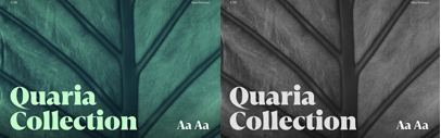 Studio René Bieder released Quaria.