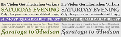 Canada Type released Amethyst Pro.
