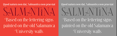 Typerepublic released Salmantina.