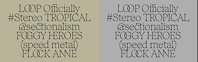 Displaay Type Foundry released Fenul.