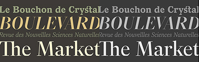 Typofonderie released Arsen. It comes in four optical sizes.