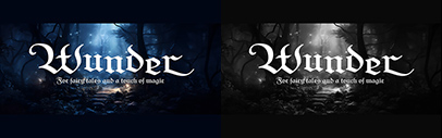 FDI Type Foundry released FDI Wunder.