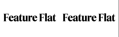 Commercial Type released Feature Flat by Christian Schwartz and Berton Hasebe. It’s available in the Vault.