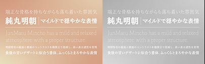 Type Project released 純丸明朝 (JunMaru Mincho).