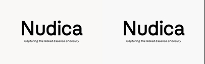 Atipo Foundry released Nudica.