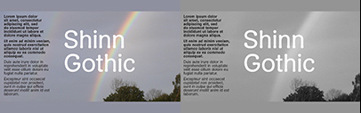 Shinntype released Shinn Gothic.