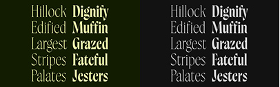 Bitzer by James Plattner was added to Future Fonts.