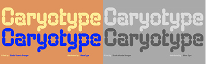 Blaze Type released Caryotype designed by Vicente Granger.