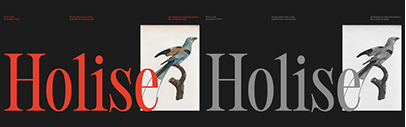 Holise designed by Inès Davodeau was expanded and is now available through Blaze Type.