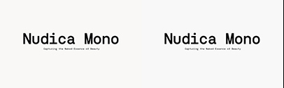Atipo Foundry released Nudica Mono.