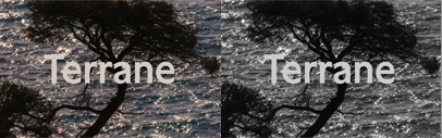 Production Type released Terrane Sans and Terrane Serif.