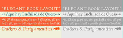 Essay is an elegant serif typeface intended for setting books‚ with many stylistic alternates and other typographic goodies‚ designed by Stefan Ellmer.