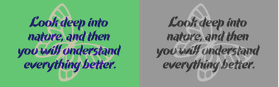 Evergreen‚ the latest Koziupa-Paul typefaces. A different display typeface full of butterflies and flowers. Introductory offer 30% off till March 3.