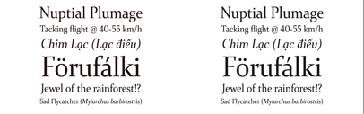Tiro Typeworks released Constantia Display. Besides it‚ select fonts that they’ve made over the years for Microsoft are now available for commercial licensing from their website.