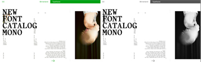 Binnenland Typefaces released Catalog Mono.