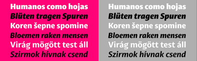Dual Type released Astilbe Sans.