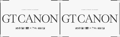 Grilli Type released GT Canon. It comes in 224 styles.