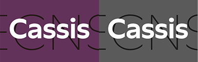 Frere-Jones Type released Cassis designed by Nina Stössinger.