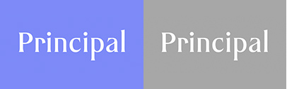 Parachute Typefoundry released PF Principal.