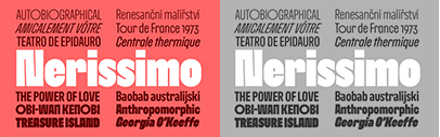 Synthview released Nerissimo. It comes in 6 weights. Each weight has upright&sbquo; italic&sbquo; and super italic variants.