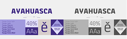 The Designers Foundry released Tocapu designed by Paola Vecco.