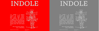 Indole by Caterina Santullo was added to Future Fonts.