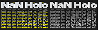 NaN Holo has been updated. Four new widths have been added&sbquo; and italics are now available for all styles. It also supports Panafrican Latin now.