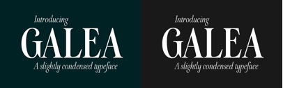 Galea is a slightly condensed serif typeface with long extenders. Designed by @bellera