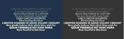 A new from type family from @TerminalDesign.